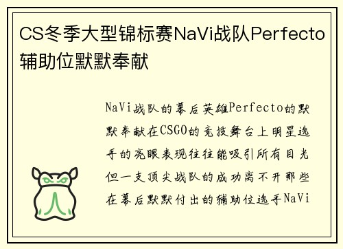 CS冬季大型锦标赛NaVi战队Perfecto辅助位默默奉献