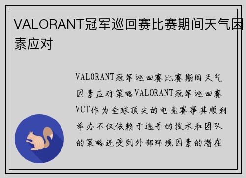 VALORANT冠军巡回赛比赛期间天气因素应对