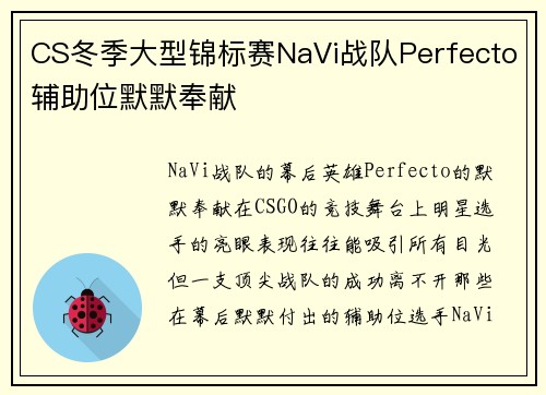 CS冬季大型锦标赛NaVi战队Perfecto辅助位默默奉献