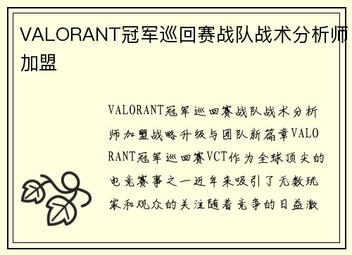 VALORANT冠军巡回赛战队战术分析师加盟