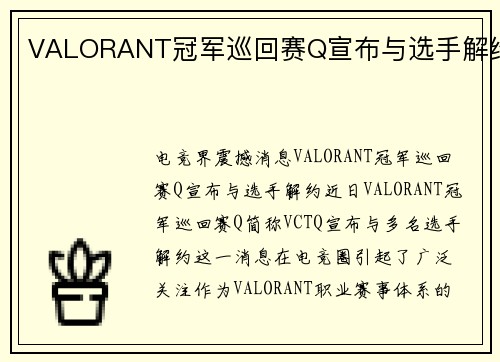 VALORANT冠军巡回赛Q宣布与选手解约