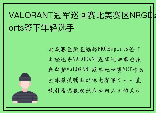 VALORANT冠军巡回赛北美赛区NRGEsports签下年轻选手